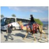 13 Camel Ride in front of our bus.jpg